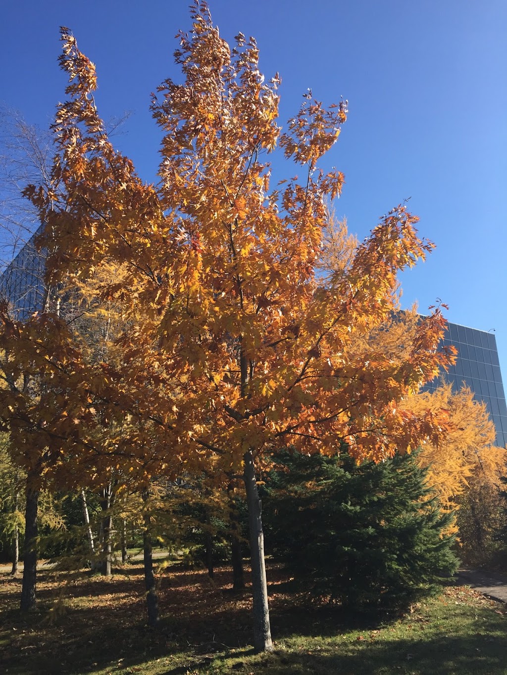 Huawei Ottawa Research & Development Centre | 303 Terry Fox Dr, Kanata, ON K2K 3J1, Canada | Phone: (613) 595-1900