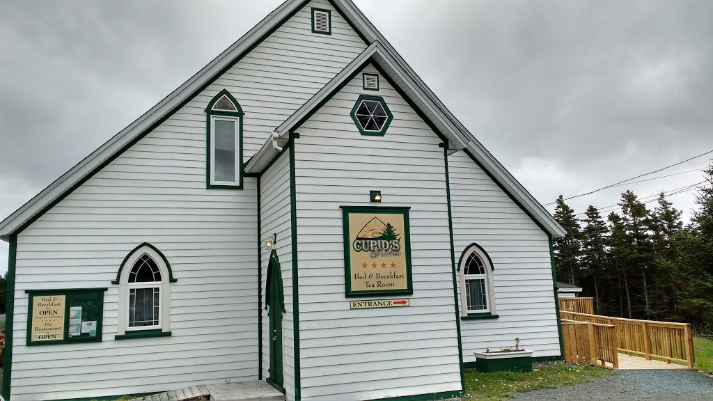 Cupids Haven | 169 Burnt Head Loop, Cupids, NL A0A 2B0, Canada | Phone: (709) 528-1555