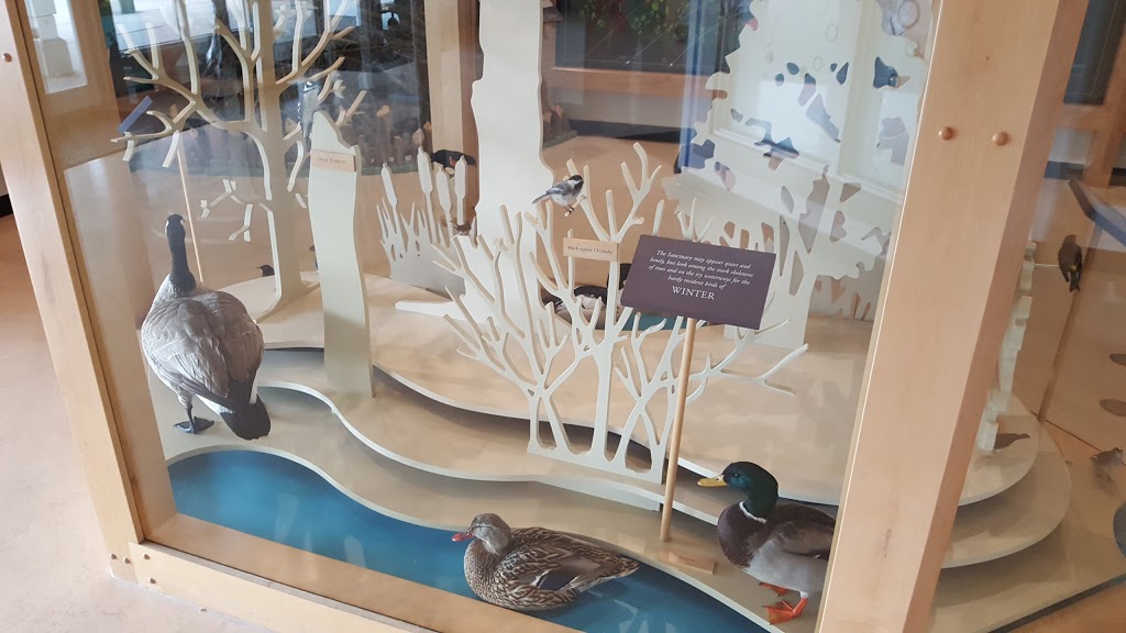 Inglewood Bird Sanctuary & Nature Centre | 2425 9 Ave SE, Calgary, AB T2G 4T4, Canada | Phone: (403) 268-2489