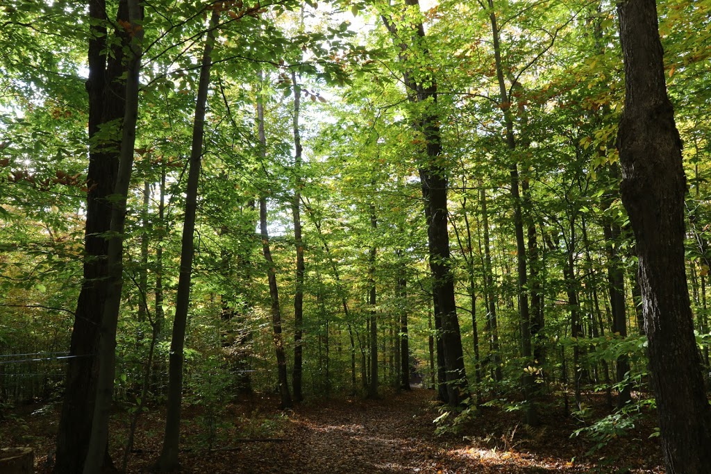Parc Municipal De Rigaud | 15 Rue du Boisé des Franciscaines, Rigaud, QC J0P 1P0, Canada | Phone: (450) 451-4608