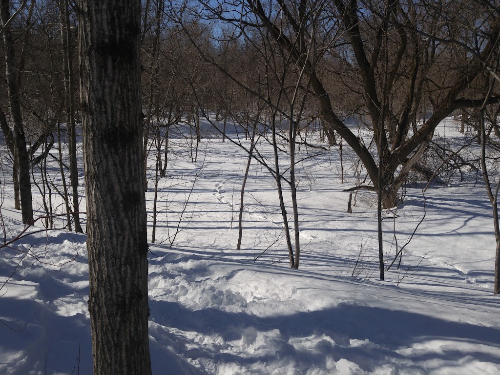 ONeill House | 3160 Bd Wilfrid-Hamel, Québec, QC G1P 2J1, Canada | Phone: (418) 877-3405