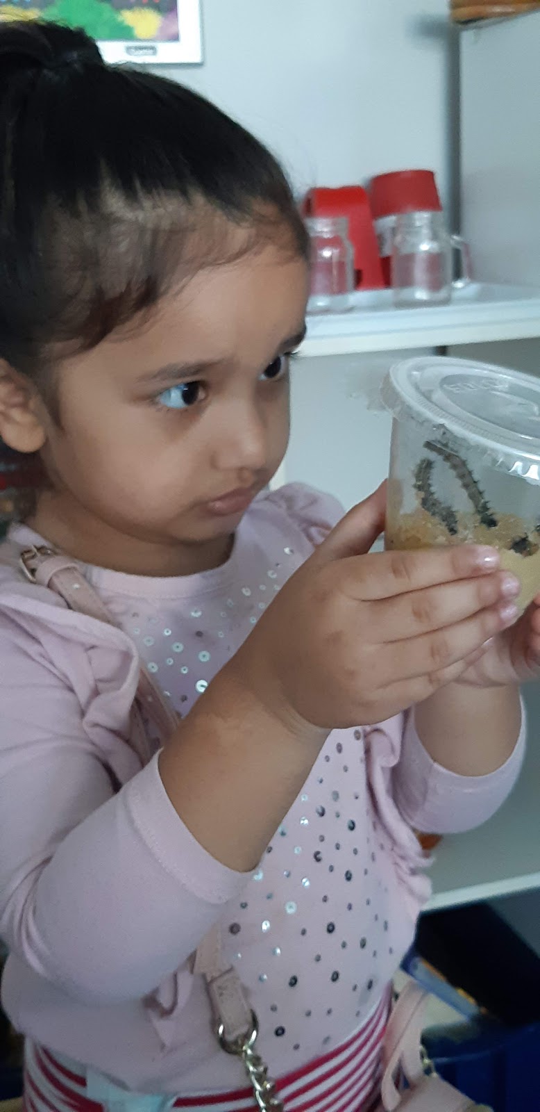 Little folks home montessori | 71-61 Meritage Ln, Hamilton, ON L8G 0B4, Canada | Phone: (416) 666-9781