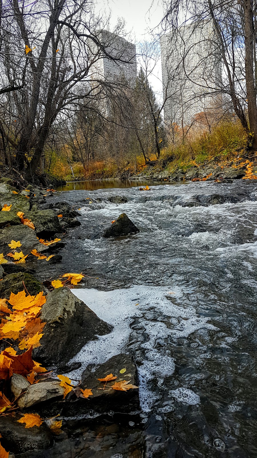 E.T. Seton Park | 73 Thorncliffe Park Dr, East York, ON M4H 1L4, Canada | Phone: (416) 338-4386