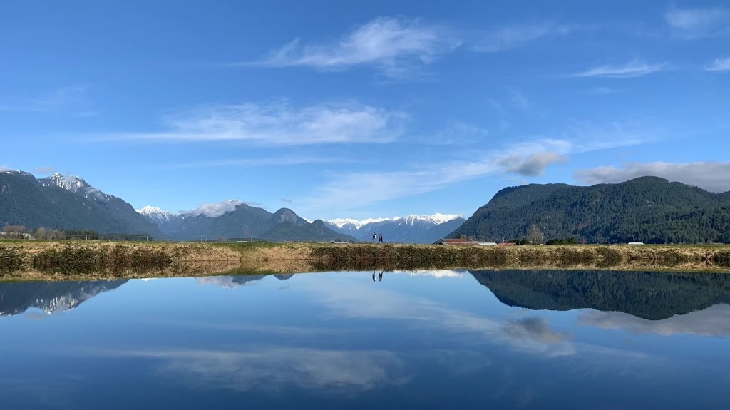 Pitt Meadows Paddling Club | 14411 Harris Rd, Pitt Meadows, BC V3Y 2T2, Canada | Phone: (778) 847-7672