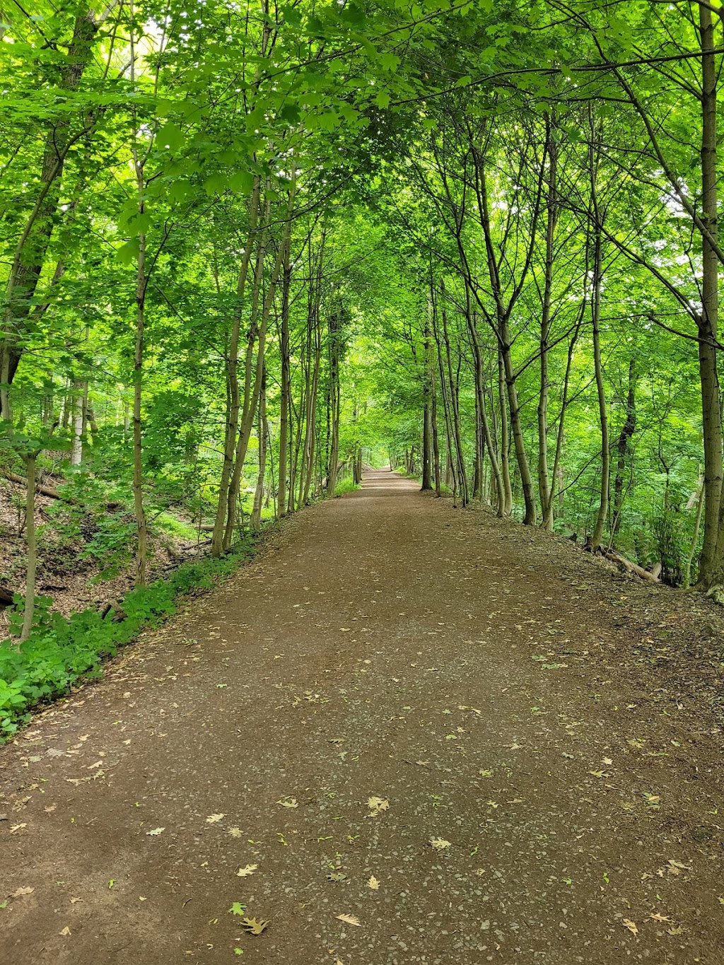 Chedoke Golf Club | 563 Aberdeen Ave, Hamilton, ON L8P 4S8, Canada | Phone: (905) 521-3970