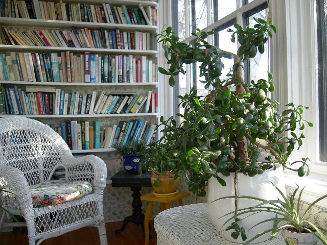 Sackville Bed and Breakfast | 7 Main St, Sackville, NB E4L 4A4, Canada | Phone: (506) 536-0101