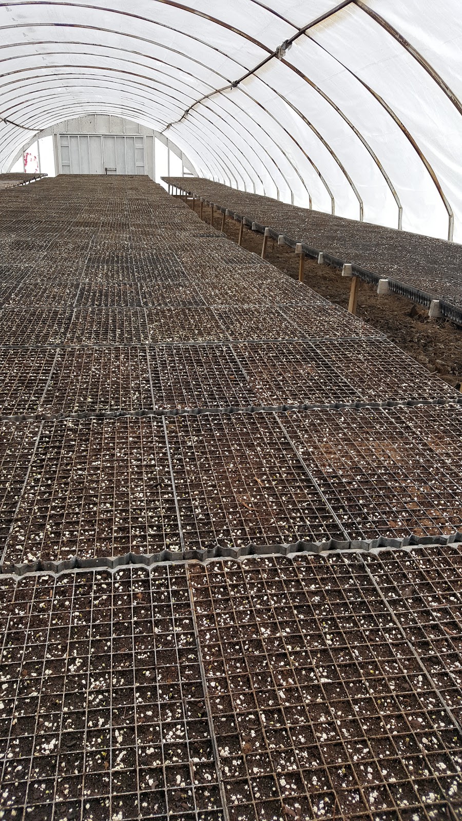 Melvin Farms Ltd | 420N N Medford Rd, Canning, NS B0P 1H0, Canada | Phone: (902) 582-7939