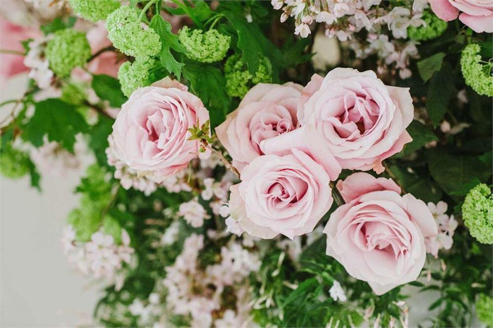 Flower Gallery | 4119 17 Ave SE, Calgary, AB T2A 0T1, Canada | Phone: (403) 248-2400