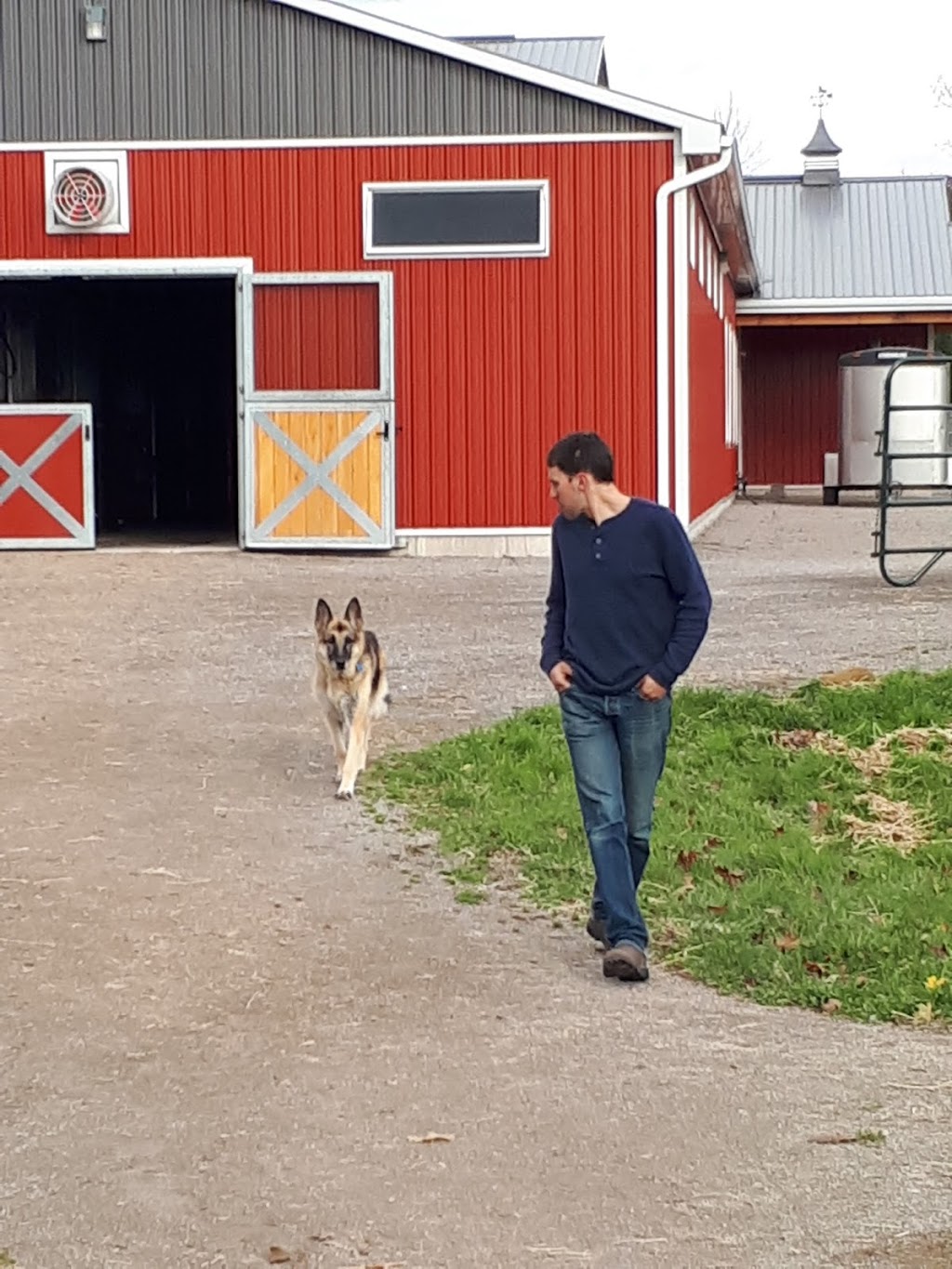 Novak Equestrian | Waterdown, Hamilton, ON L0R 2H1, Canada | Phone: (905) 317-6002