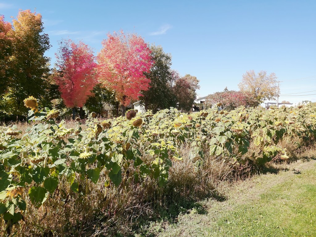 Les Jardins Majeau | 118 QC-125, Saint-Esprit, QC J0K 2L0, Canada | Phone: (450) 839-9097