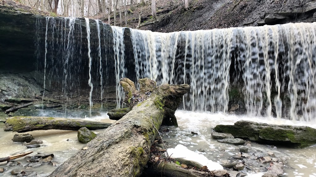 Mystery Falls Trail (aka Ausable River Valley Trail) | 101 Elm Tree Dr, Parkhill, ON N0M 2K0, Canada