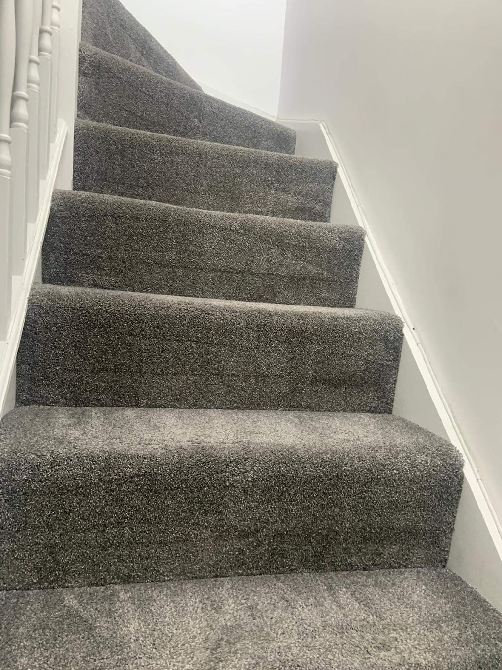 Steam Carpet Care | The Ave NW, Edmonton, AB T6P 7Y8, Canada | Phone: (587) 409-0797