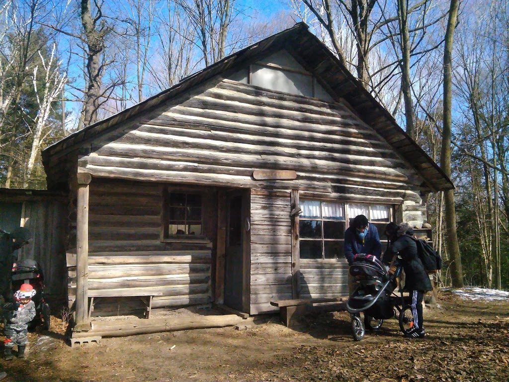 Horton Tree Farm | 5859 Slaters Rd, Gormley, ON L0H 1G0, Canada