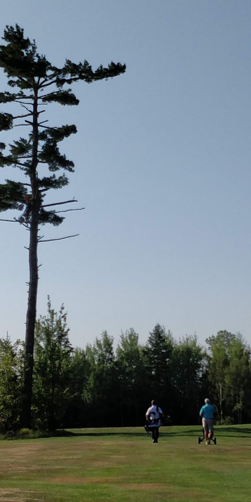 Brookfield Golf & Country Club | 785 Nova Scotia Trunk 2, Brookfield, NS B0N 1C0, Canada | Phone: (902) 673-3352