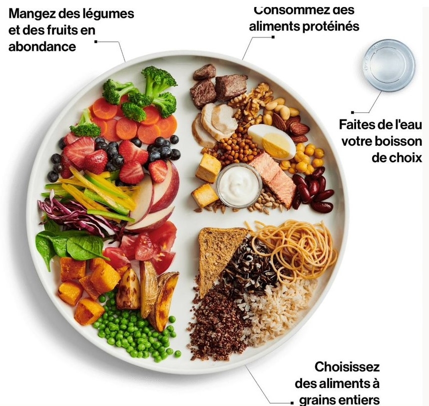 Distributrice Indépendante Herbalife Céliane Gouin | 1536 Chem. Turcotte, Disraeli, QC G0N 1E0, Canada | Phone: (418) 423-5997