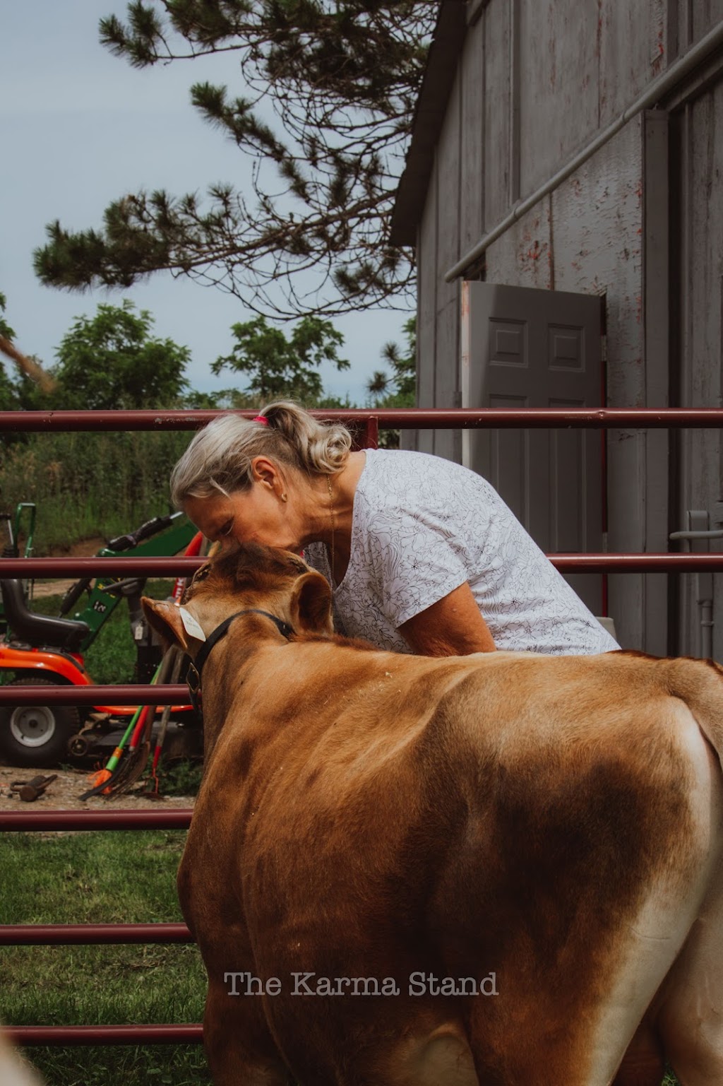 Outrun Animal Rescue and Rehabilitation Center | 998089 Mulmur Tosorontio Townline, Lisle, ON L0M 1M0, Canada | Phone: (705) 717-2761