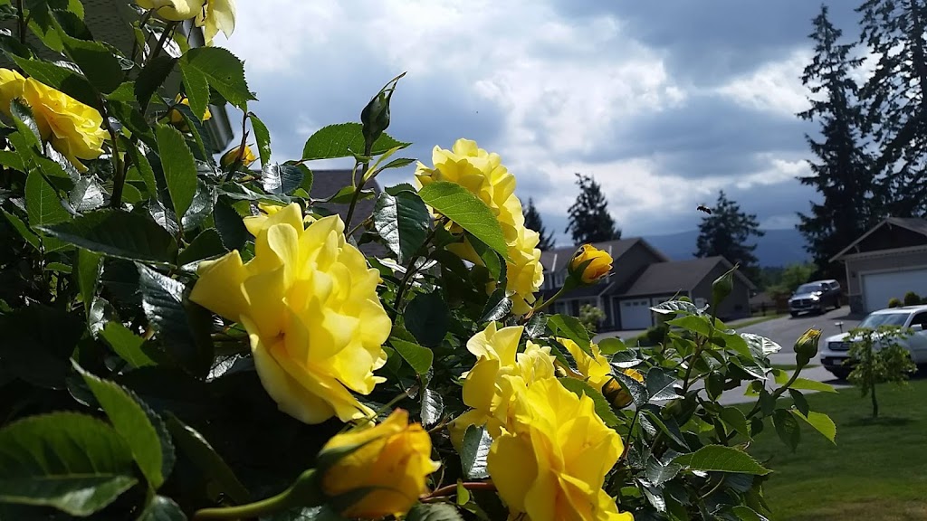 Elite Garden Maintenance | 2922 Allenby Rd, Duncan, BC V9L 6V3, Canada | Phone: (778) 678-2524