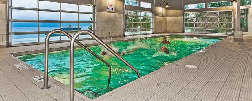 Sunshine Coast Health Centre | 2174 Fleury Rd, Powell River, BC V8A 0H8, Canada | Phone: (604) 210-4107