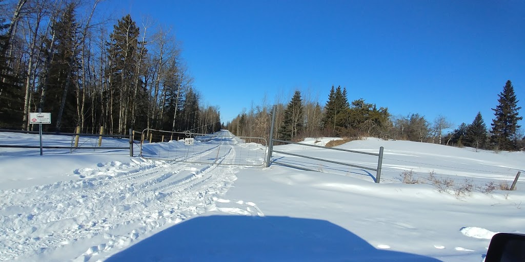 Leased Crown | Sturgeon County, AB T0A 2R0, Canada
