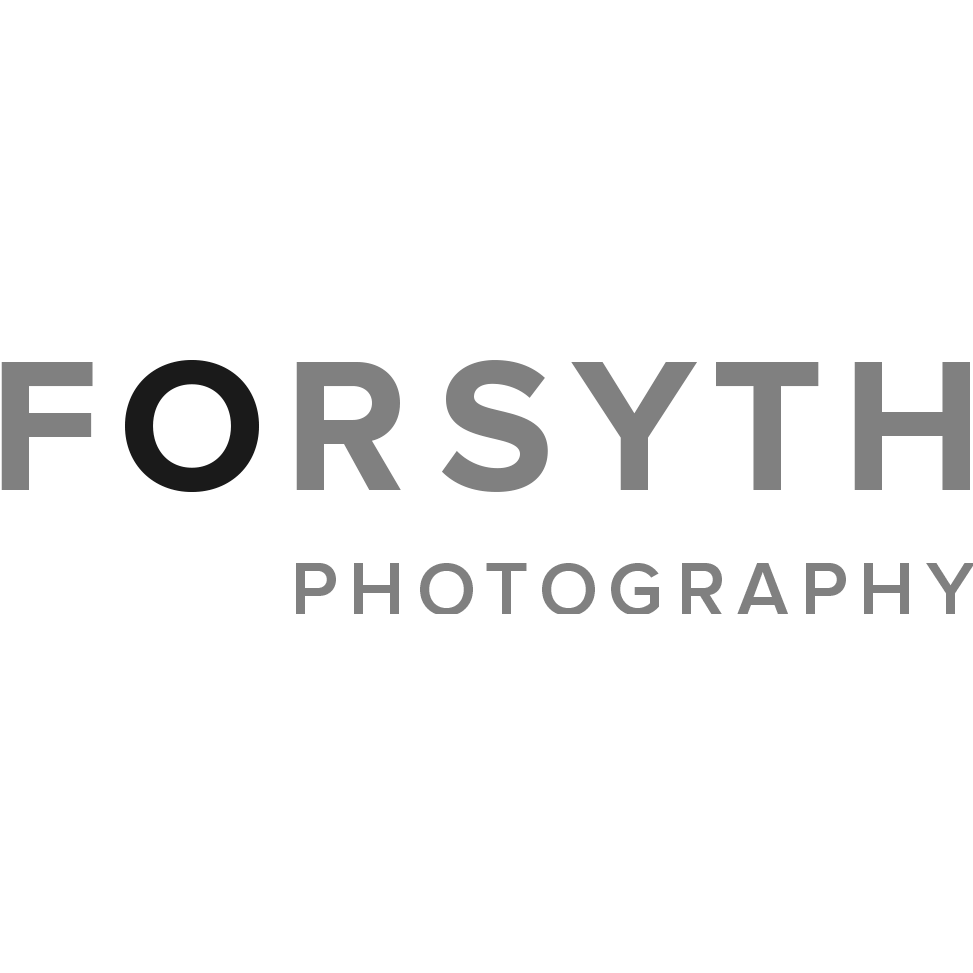 Brett Forsyth Photography | 211 Carter Rd, Puslinch, ON N0B 2J0, Canada | Phone: (888) 566-2907