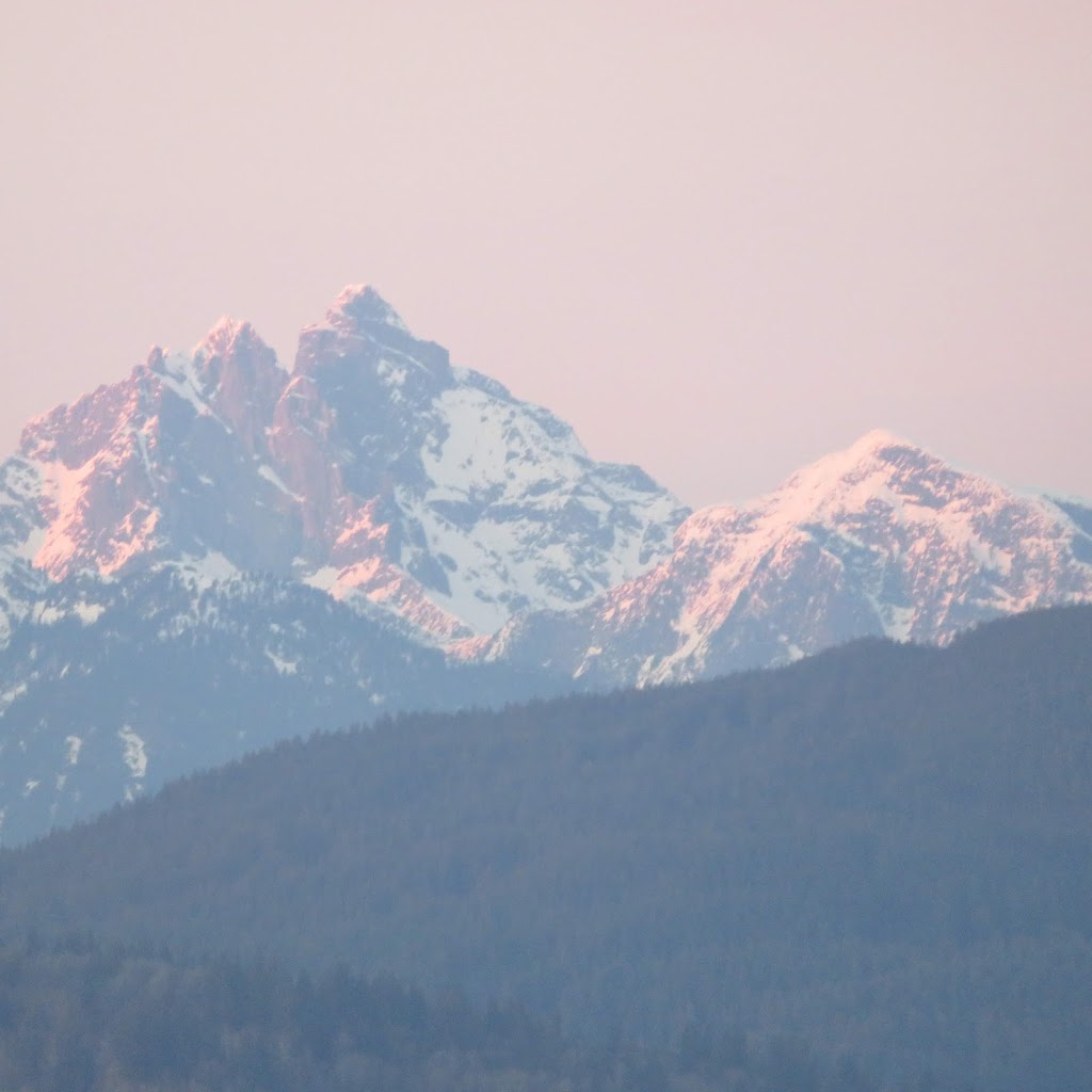 The Rinks at Summit Centre | 104-3600 Townline Rd, Abbotsford, BC V2T 5W8, Canada | Phone: (604) 504-7565