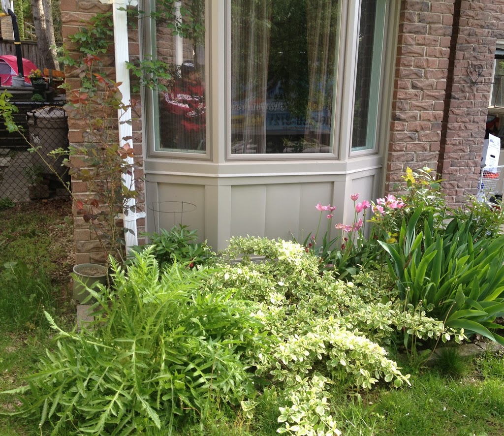 RooterWorx Mississauga Drain Cleaning and Clogged Drain Service  | 34 Queen St W unit 4, Mississauga, ON L5H 1L4, Canada | Phone: (416) 400-2685