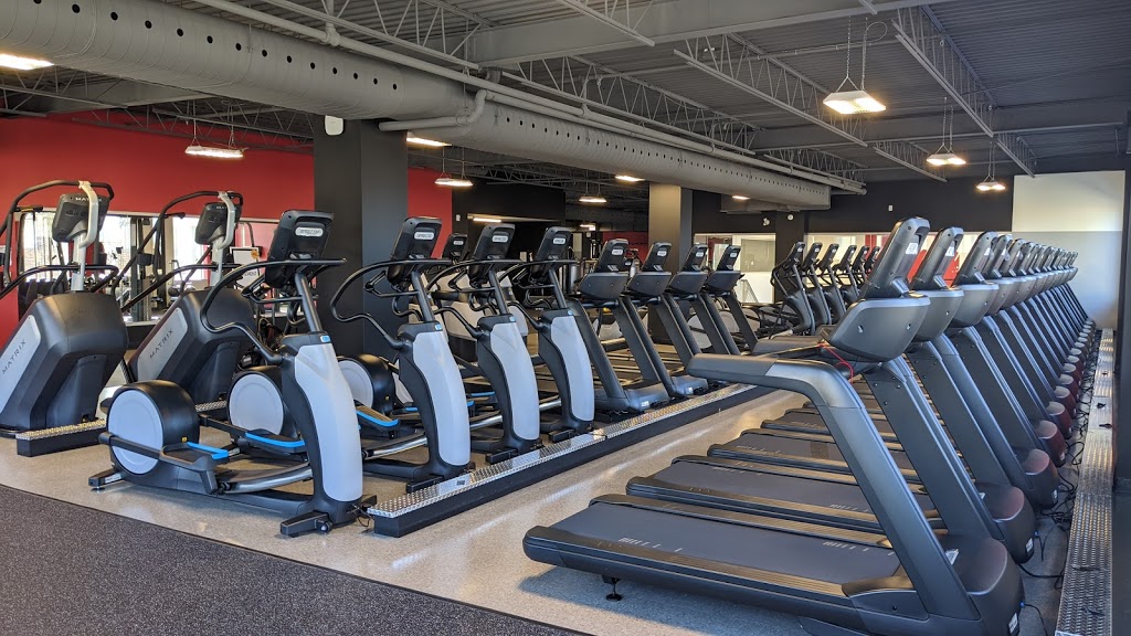 World Gym | 9200 Boulevard de lAcadie, Montréal, QC H4N 2T2, Canada | Phone: (438) 500-6500
