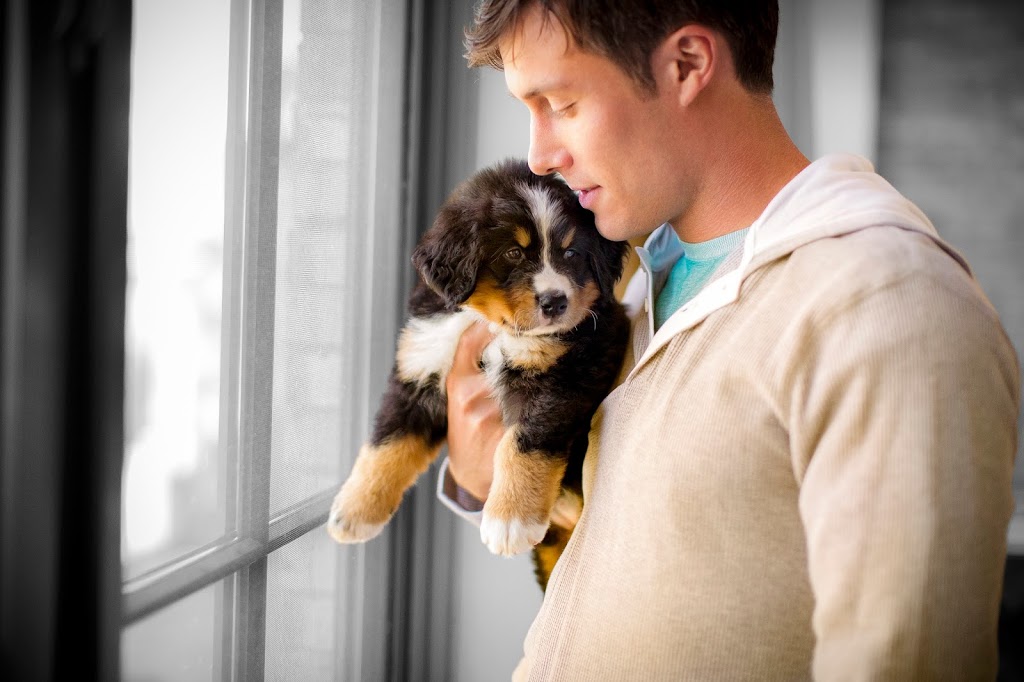 VCA Canada Newton Animal Hospital | 7010 King George Blvd, Surrey, BC V3W 4Z9, Canada | Phone: (604) 596-7417