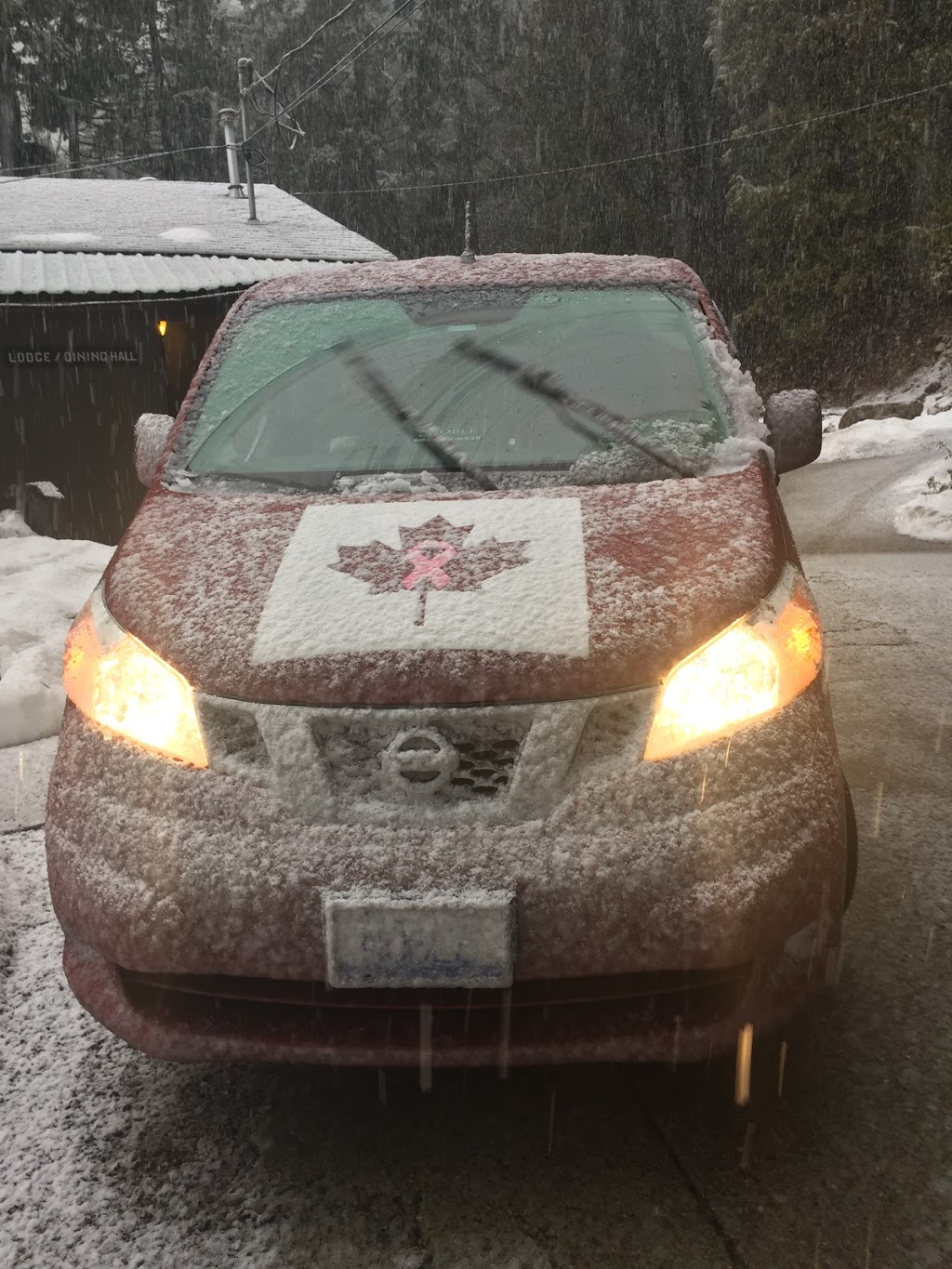 Noble Commercial Delivery Service | 3567 Picton St, Abbotsford, BC V2S 7H6, Canada | Phone: (604) 835-0338