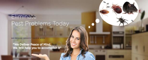 Pest Control Barrie | 454 Bayfield St, Barrie, ON L4M 5A2, Canada | Phone: (705) 812-1412