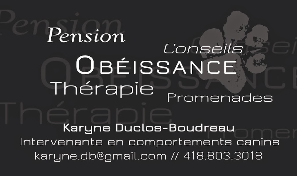 PATTPANIK | 1702 Rue du Pont, Saint-Lambert-de-Lauzon, QC G0S 2W0, Canada | Phone: (418) 803-3018