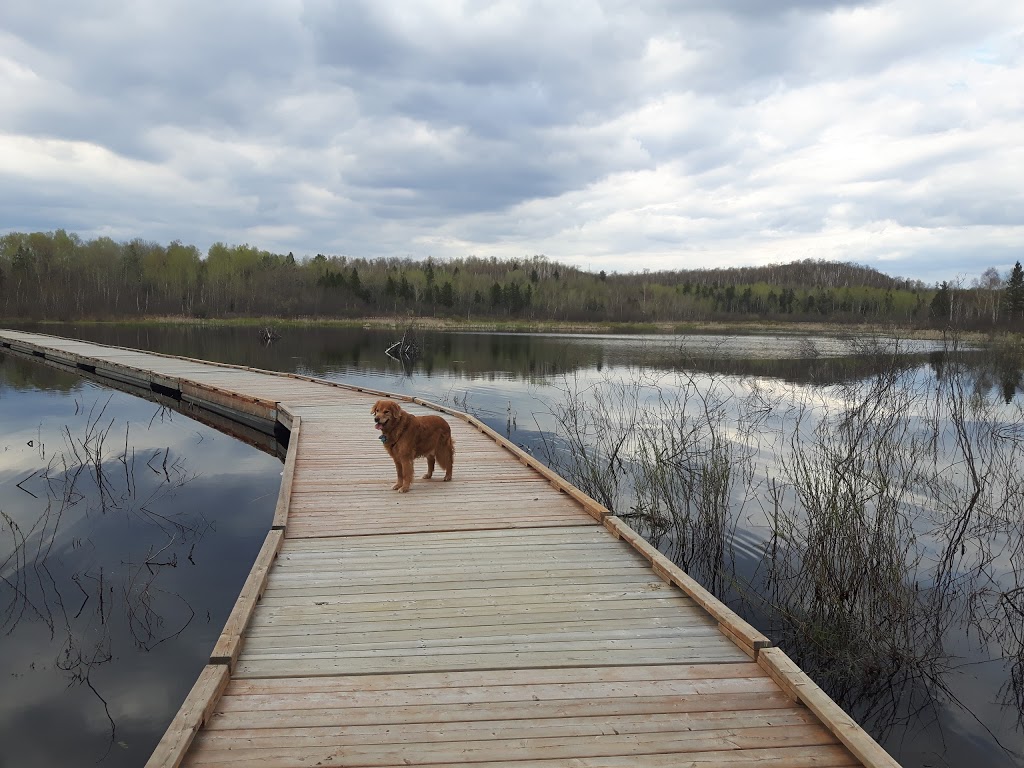 BioSki Cross-Country Ski & Snowshoe Club | 1M0, 2420 S Bay Rd, Sudbury, ON P3E 6H7, Canada | Phone: (705) 674-5202
