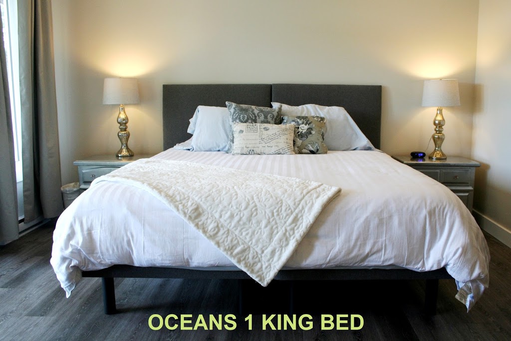 Funky Frog B&B | Funky Frog B&B, 8-1060 Shore Pine Cl, Duncan, BC V9L 0C4, Canada | Phone: (250) 710-4662