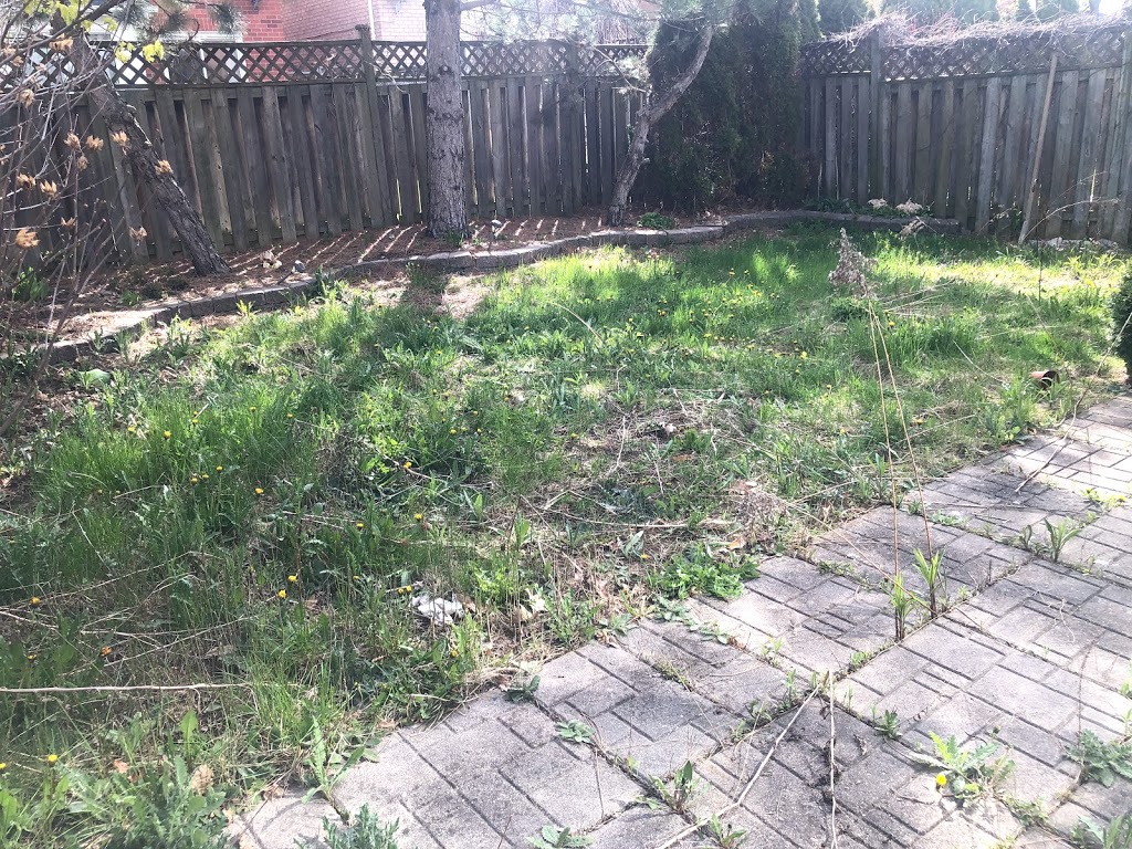 A & J Landscaping / Snow removal | 243 Rutherford Rd N, Brampton, ON L6V 2X7, Canada | Phone: (289) 233-0907