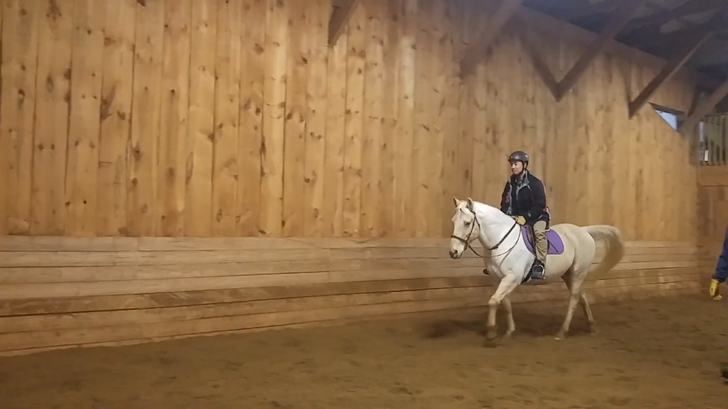 Foxcroft Equestrian Centre | 76 Concession 7 E, Millgrove, ON L8B 1T3, Canada | Phone: (905) 689-0683