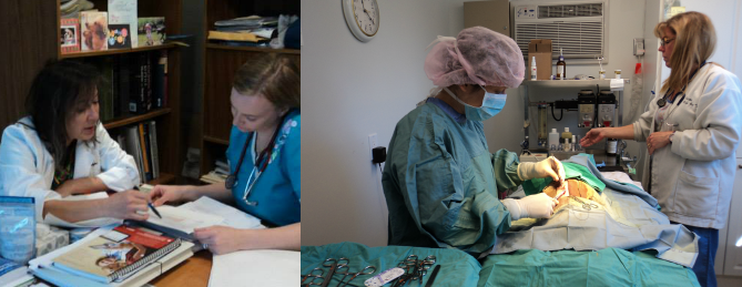 Millennium City Veterinary Hospital | 1866 Liverpool Rd, Pickering, ON L1V 1W3, Canada | Phone: (905) 420-9555