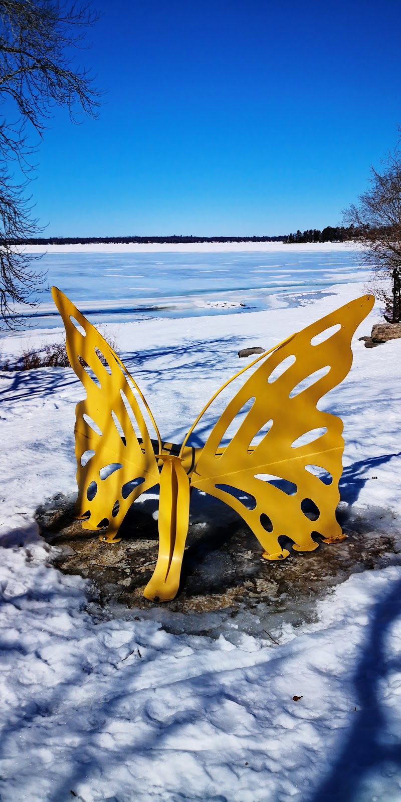 Fenelon Yoga | Fenelon Falls, Kawartha Lakes, ON K0M 1N0, Canada | Phone: (705) 341-0288