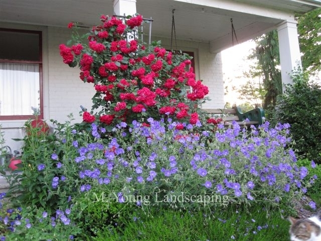 Young M Landscaping & Nurseries | 967 Netherby Rd, Welland, ON L3B 5N7, Canada | Phone: (905) 734-6005