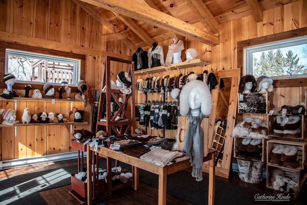 Alpagas DHam Nature | 567 Rang Nault, Victoriaville, QC G6P 7R9, Canada | Phone: (819) 604-7312