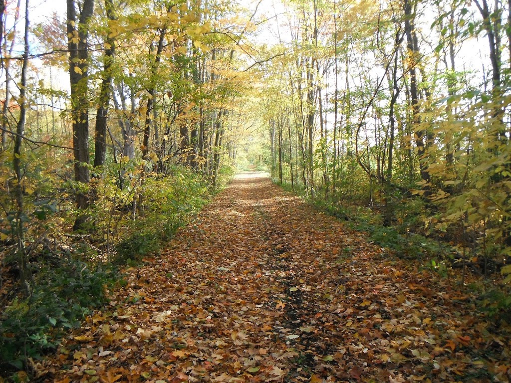 Hickson Trail | Hickson, ON N4S 7W1, Canada
