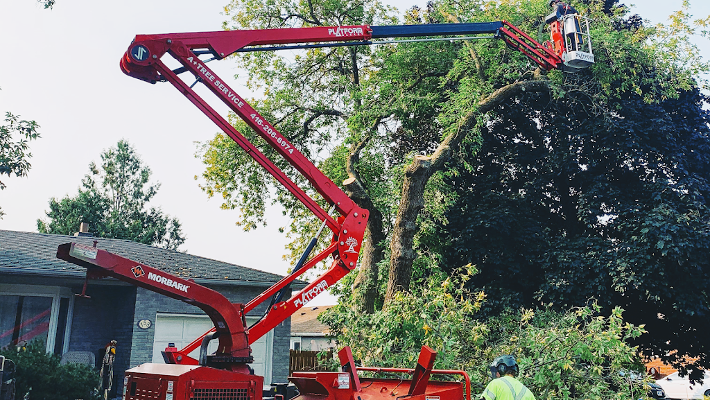 A+ Tree Service Inc. | 37 Summerhill Rd, Holland Landing, ON L9N 1C6, Canada | Phone: (416) 206-6974