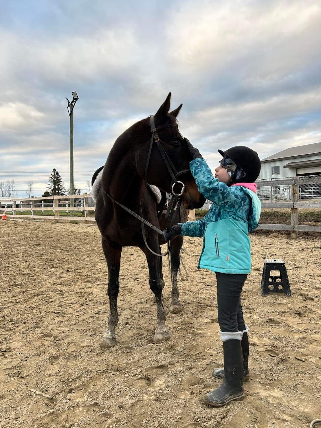 Academy Equestrian Mn | 172 Rang Lepage, Sainte-Anne-des-Plaines, QC J0N 1H0, Canada | Phone: (514) 604-7232