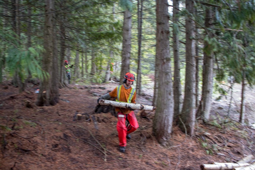 Brushpunks Forestry Services | 4218 6th avanue, Peachland, BC V0H 1X5, Canada | Phone: (250) 717-7886