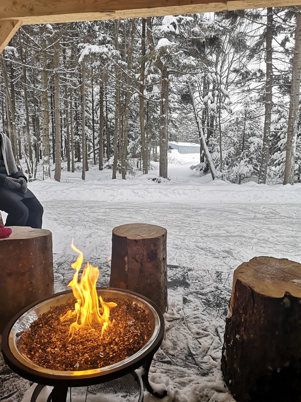 Bleuetière Goulet | 2039 QC-112, Saint-Frédéric, QC G0N 1P0, Canada | Phone: (418) 426-3159