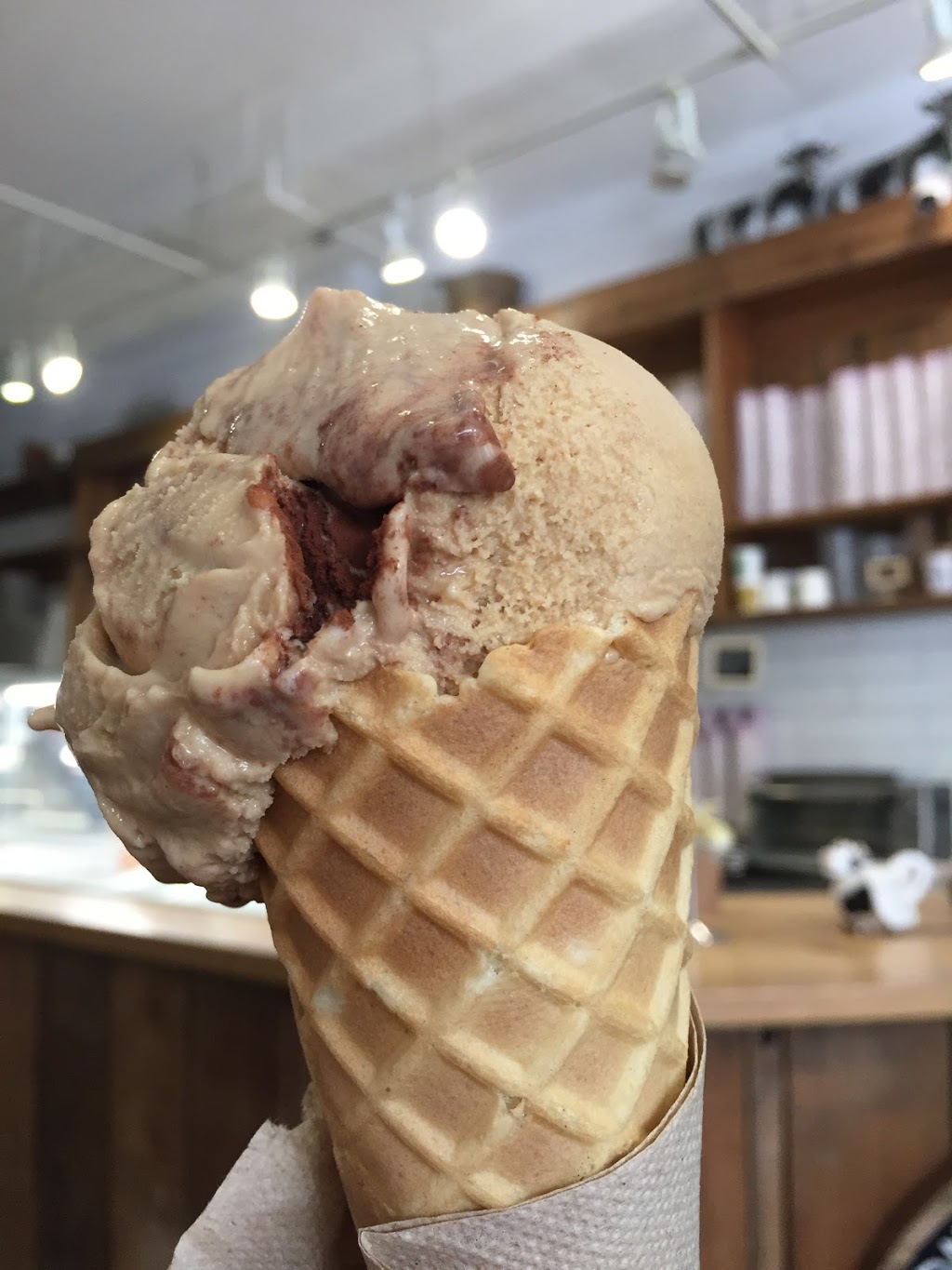 Crazy Cows Ice Cream | 14971 Marine Dr, White Rock, BC V4B 1C3, Canada | Phone: (604) 837-8976