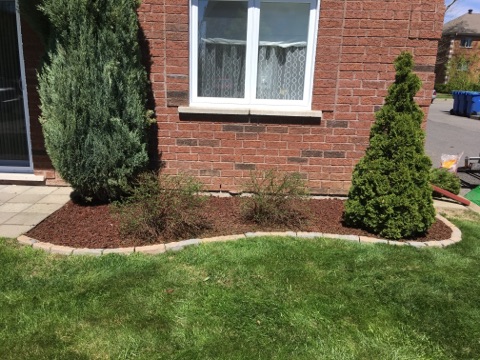 Extermination Allaire - Exterminateur rive sud et entretien pays | 32 Chemin Saint-François-Xavier, Saint-Mathieu, QC J0L 2H0, Canada | Phone: (514) 994-4045