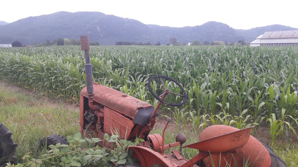 Warkentin Organic Farm | 6934 Sandberg St, Abbotsford, BC V3G 1N7, Canada | Phone: (604) 826-7230