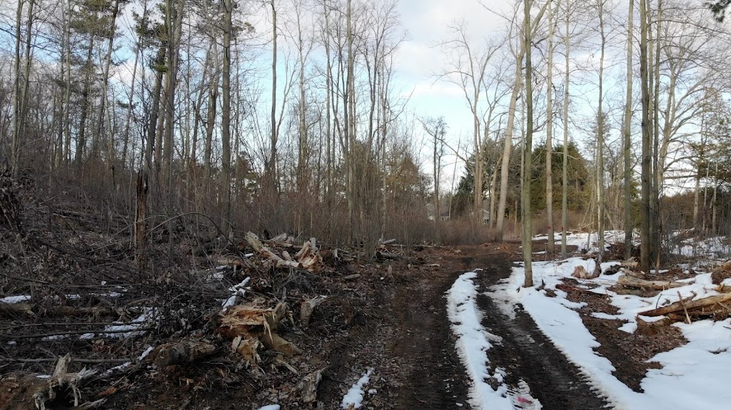Jeff & Paula Zelem | 1015 Charlotteville 10 Rd, Simcoe, ON N3Y 4J9, Canada | Phone: (519) 428-5537