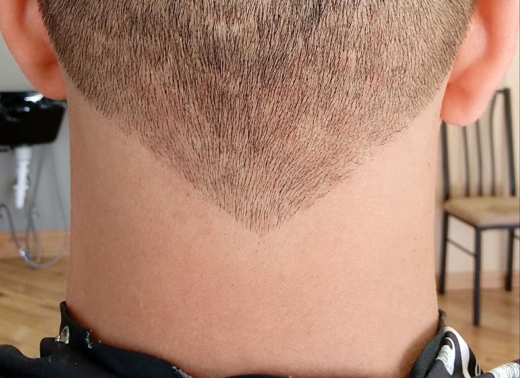 Dons Master Barber Shop | 2451 William St, Cheektowaga, NY 14206, USA | Phone: (716) 903-1570