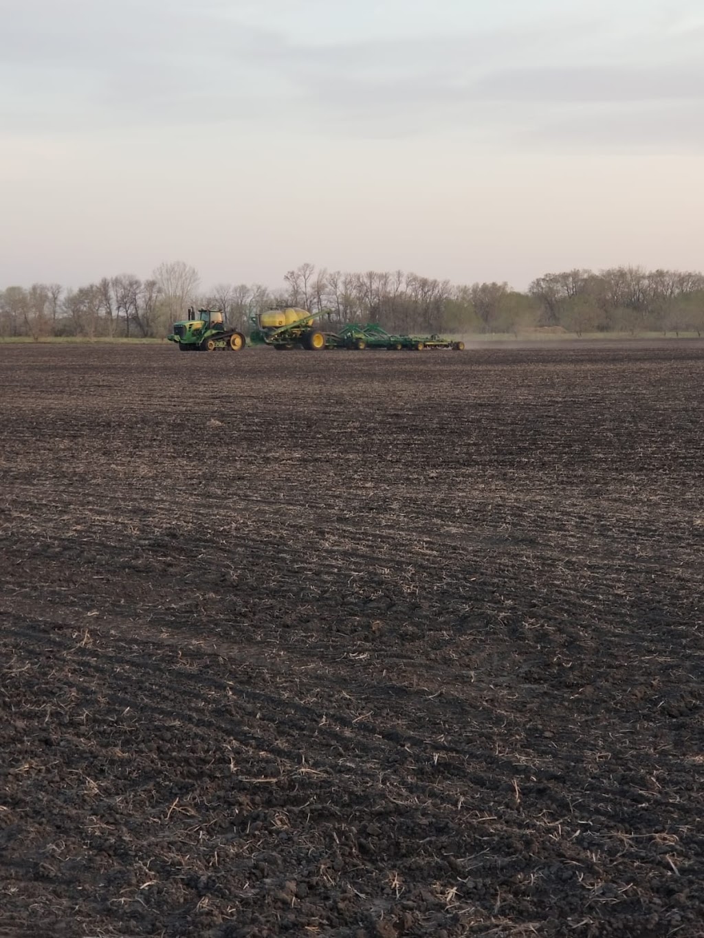 Pearl Land Improvements Ltd | 166 Willowbend St, Plum Coulee, MB R0G 1R0, Canada | Phone: (204) 362-4787